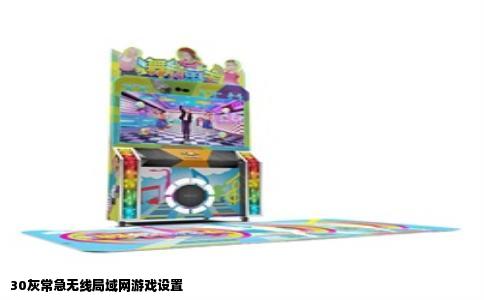 30灰常急无线局域网游戏设置