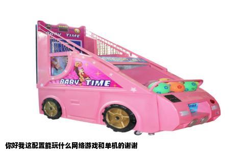 你好我这配置能玩什么网络游戏和单机的谢谢