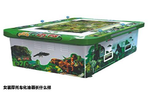 女装摩托车化油器长什么样