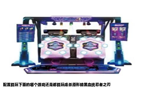 配置能玩下面的哪个游戏还是都能玩虐杀原形暗黑血统忍者之刃