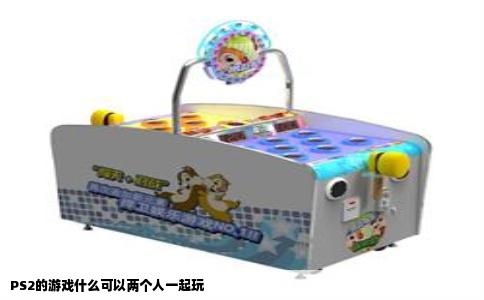 PS2的游戏什么可以两个人一起玩