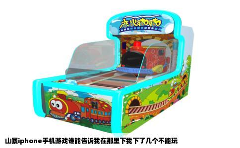 山寨iphone手机游戏谁能告诉我在那里下我下了几个不能玩