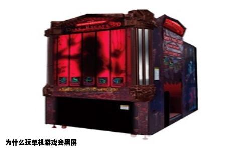 为什么玩单机游戏会黑屏