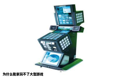 为什么我家玩不了大型游戏