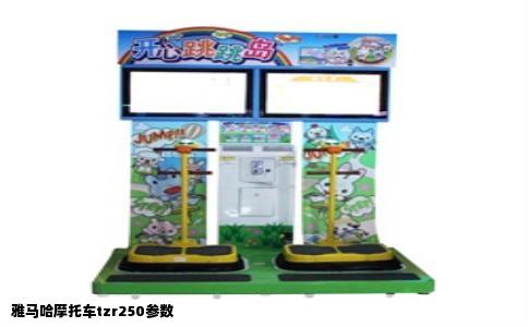 雅马哈摩托车tzr250参数